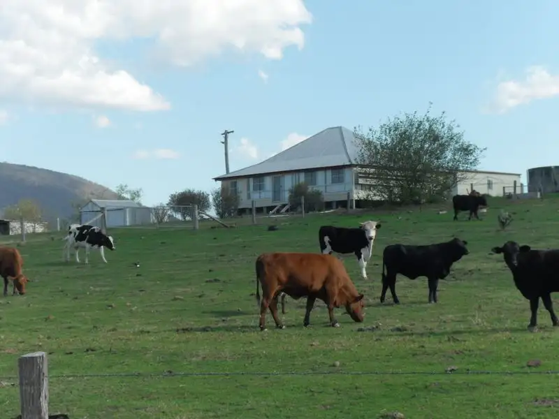 Main view of Homely rural property listing, 484 Freestone Creek Rd, Freestone QLD 4370