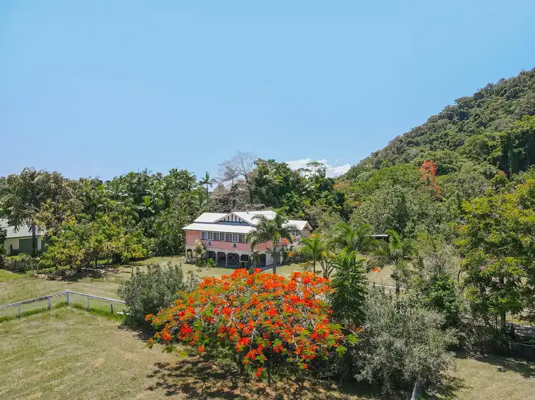 1596 Mossman Daintree Road, Wonga Beach QLD 4873