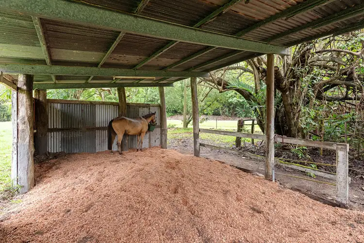 Fourth view of Homely house listing, 1596 Mossman Daintree Road, Wonga Beach QLD 4873