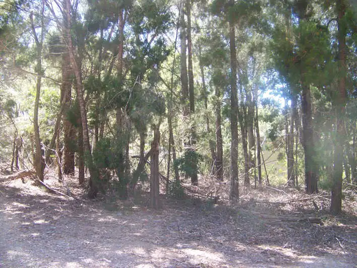 Main view of Homely land listing, 12 Tulloch, Russell Island QLD 4184