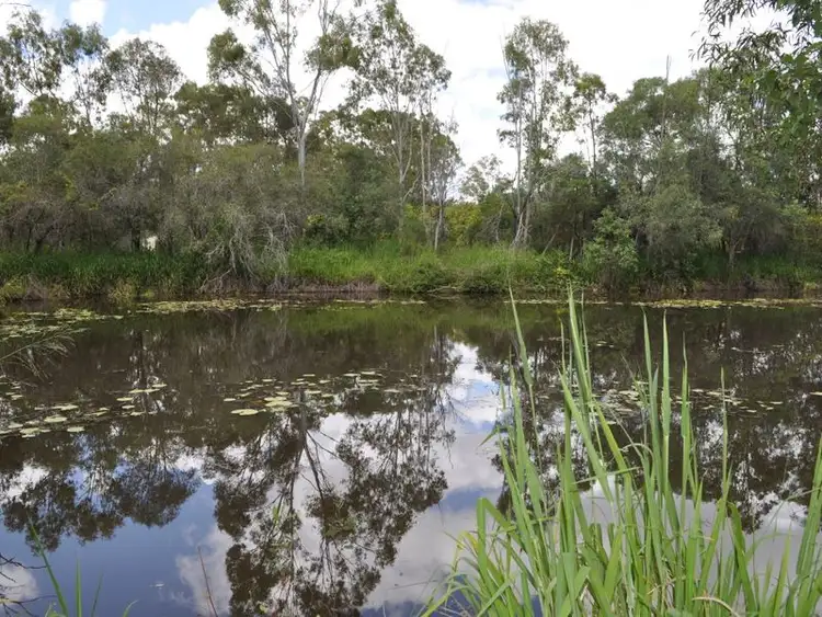 Sixth view of Homely land listing, 114 Schulze Road, Beecher QLD 4680