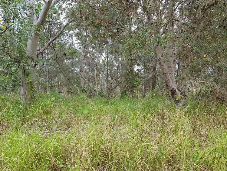 Main view of Homely land listing, 4 Binburra street, Russell Island QLD 4184