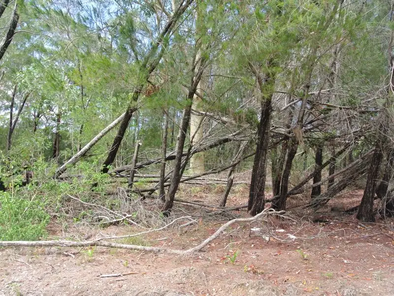 Main view of Homely land listing, 4 Sapphire Street, Russell Island QLD 4184