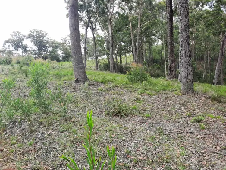 Fifth view of Homely land listing, Lot 3 Sanctuary Forest Place, Long Beach NSW 2536