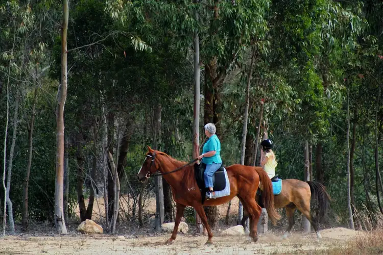 Fourth view of Homely land listing, 5 Chilli Glade, Two Rocks WA 6037