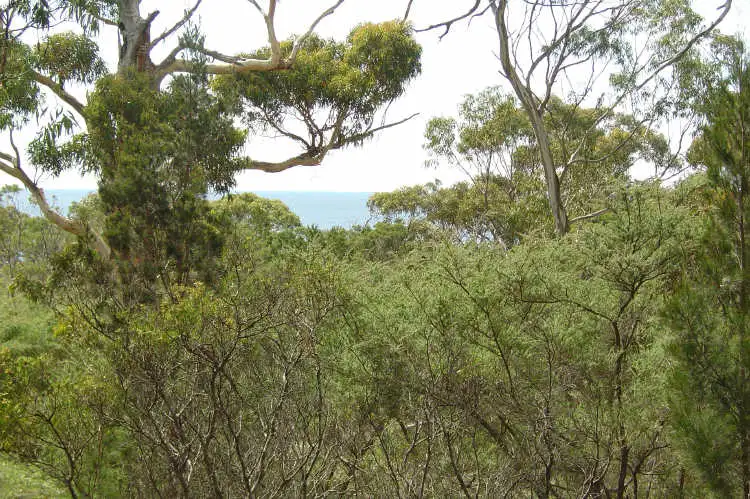 Main view of Homely land listing, 231 Harveys Farm Road, Bicheno TAS 7215