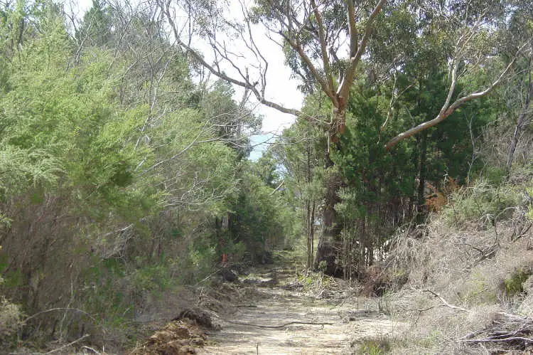 Fifth view of Homely land listing, 231 Harveys Farm Road, Bicheno TAS 7215