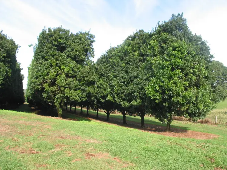 Third view of Homely land listing, Lot 2/1147 Bruxner Highway, Wollongbar NSW 2477