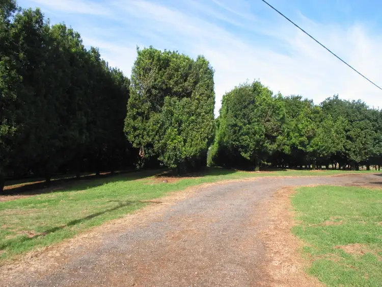 Fifth view of Homely land listing, Lot 2/1147 Bruxner Highway, Wollongbar NSW 2477