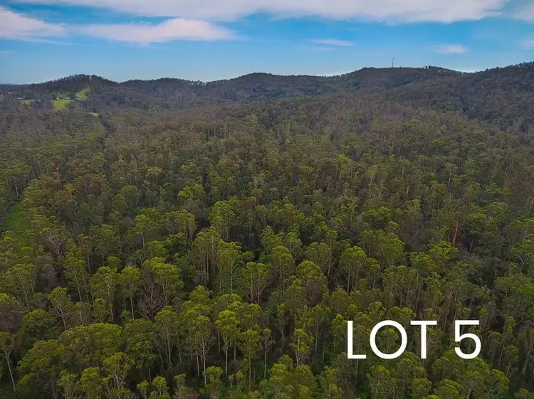 Fifth view of Homely land listing, Lot 4 & 5/150 Coates Road, Possum Brush NSW 2430