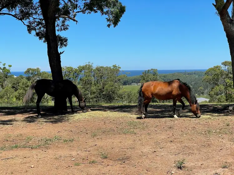 Main view of Homely land listing, 137 Red Head Road, Red Head NSW 2430