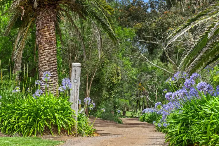 50 Scotchmans Road, Drysdale VIC 3222