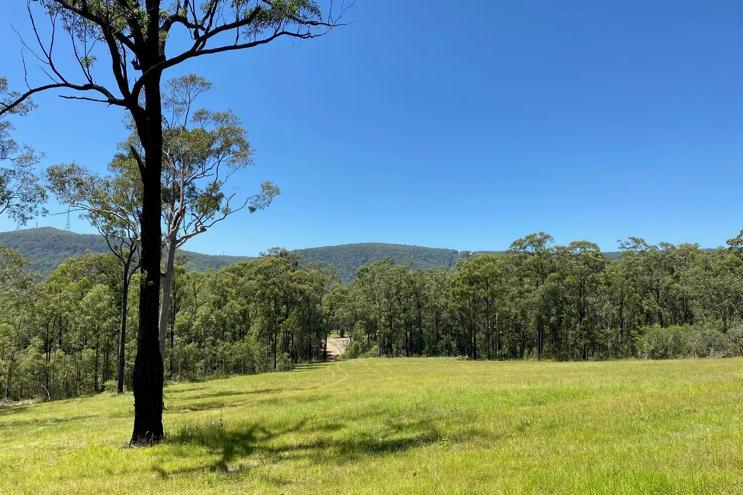 Main view of Homely land listing, 390 Sheppeard Drive, Mulbring NSW 2323