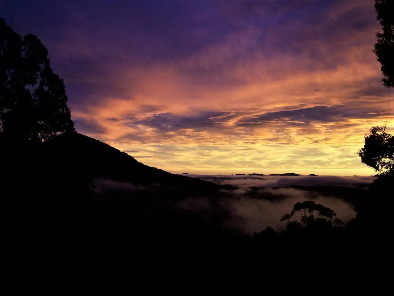 Main view of Homely rural property listing, 2252 Comboyne Road, Killabakh NSW 2429