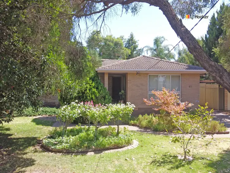 65 Fay Avenue, Kooringal NSW 2650