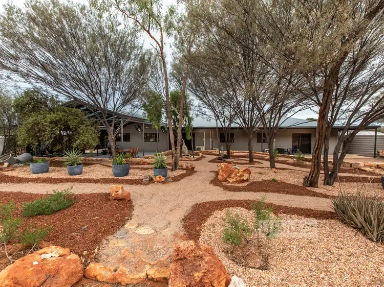37 (7836) Lillecrapp Road, Ilparpa NT 870