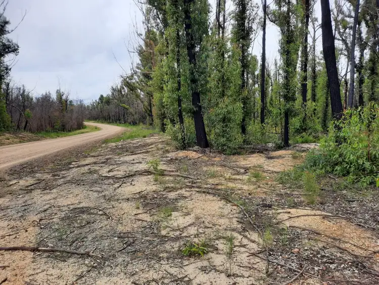 Second view of Homely land listing, 26 Jeremadra Grove, Jeremadra NSW 2536