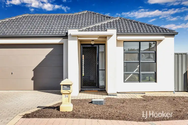 Main view of Homely house listing, 36 Cassia Street, Munno Para West SA 5115