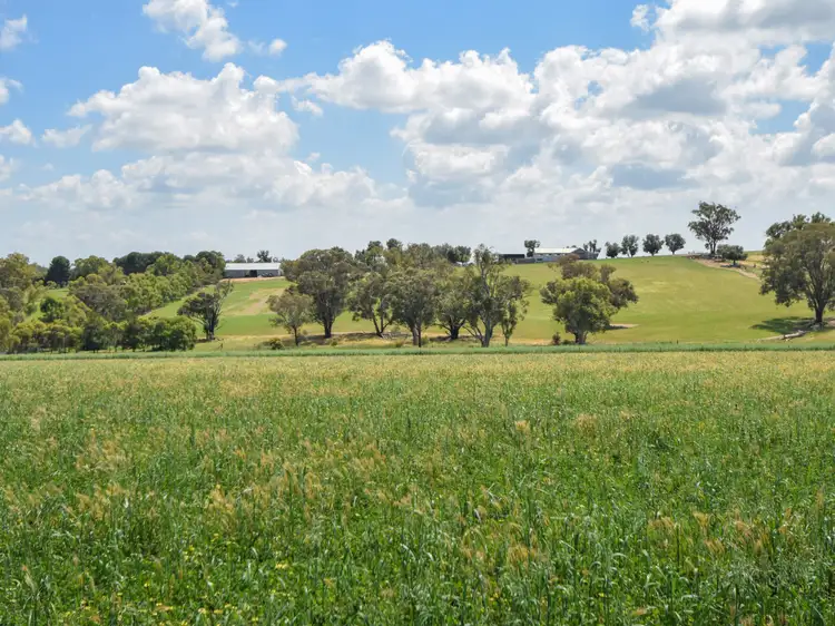 1106 Scenic Road, Young NSW 2594