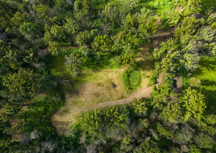 Fourth view of Homely land listing, 201 Mount Coxcomb Road, Upper Lansdowne NSW 2430