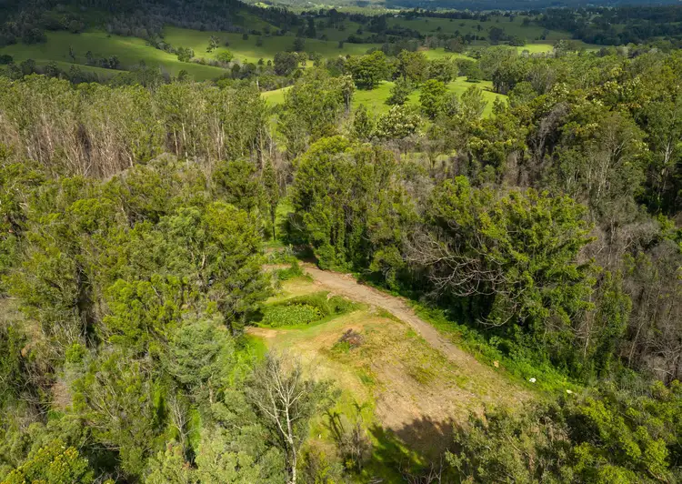 Fifth view of Homely land listing, 201 Mount Coxcomb Road, Upper Lansdowne NSW 2430