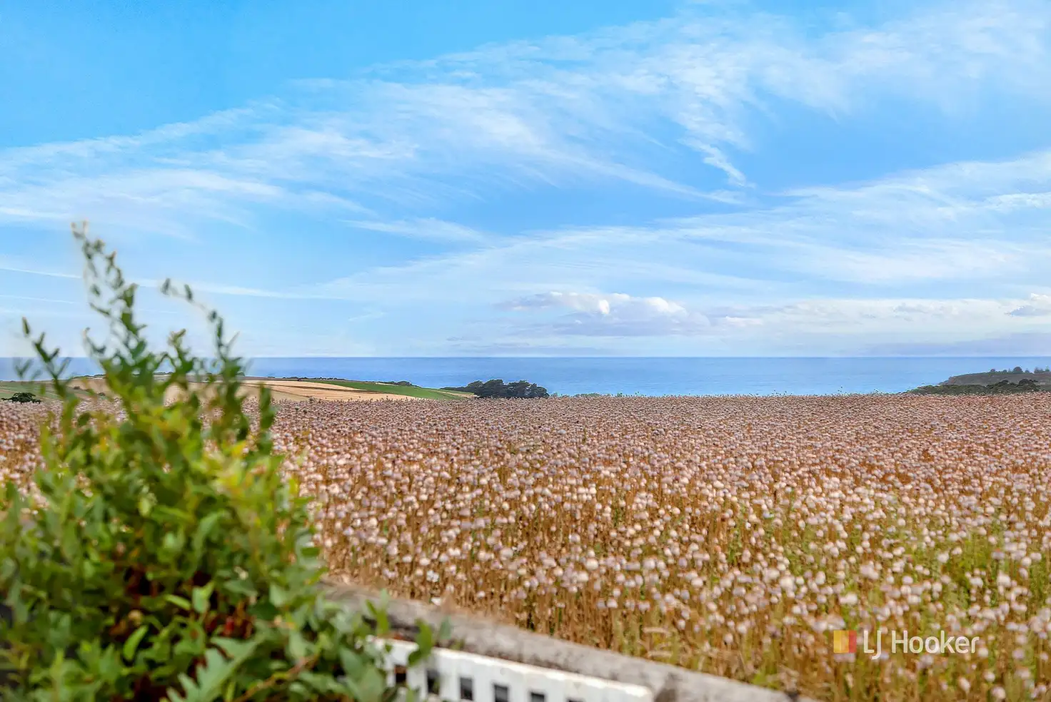 Main view of Homely house listing, 10188 Bass Highway, Don TAS 7310