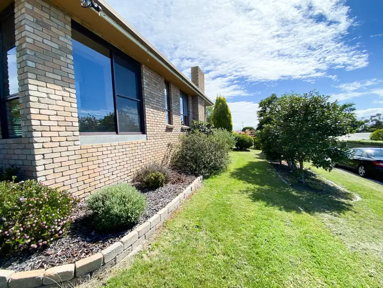 Main view of Homely house listing, 19 Mimosa Street, St Helens TAS 7216
