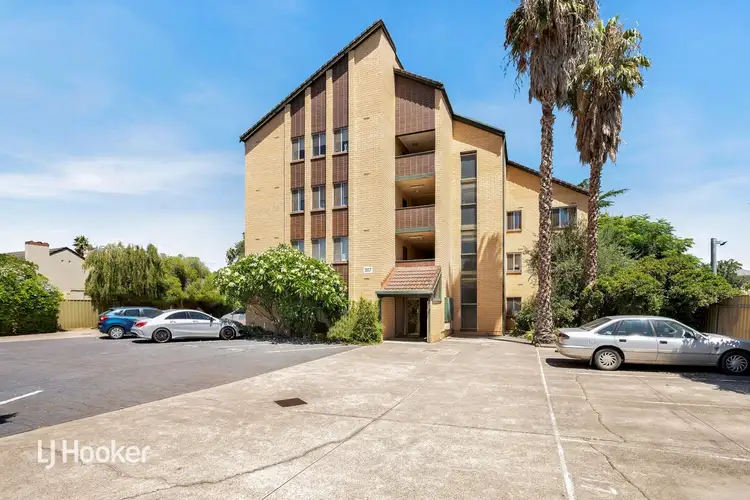5/317 Portrush Road