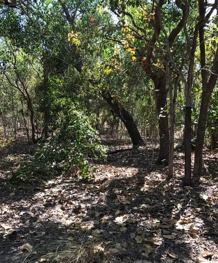 Sixth view of Homely land listing, 20 De Lissa Drive, Wagait Beach NT 822