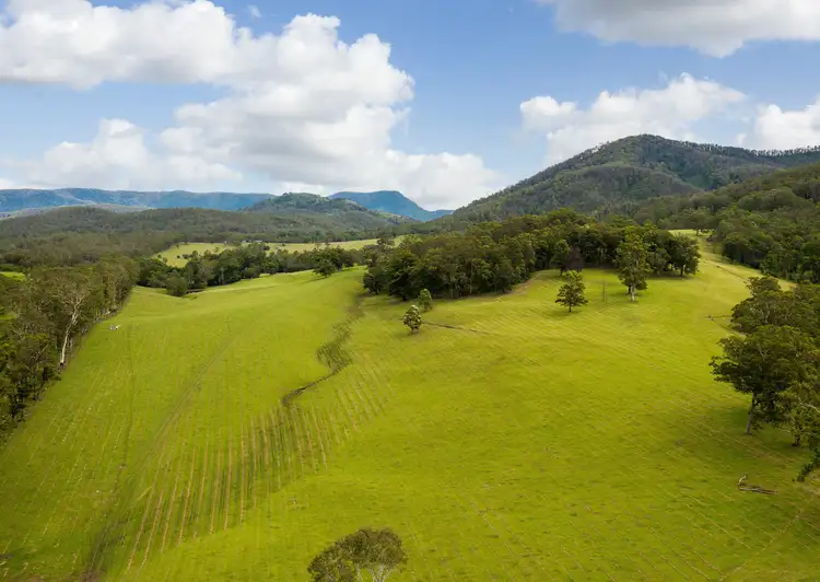 Main view of Homely rural property listing, 577 Black Flat Lane, Wherrol Flat NSW 2429