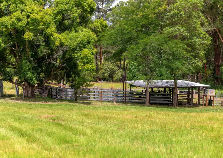 Third view of Homely rural property listing, 577 Black Flat Lane, Wherrol Flat NSW 2429