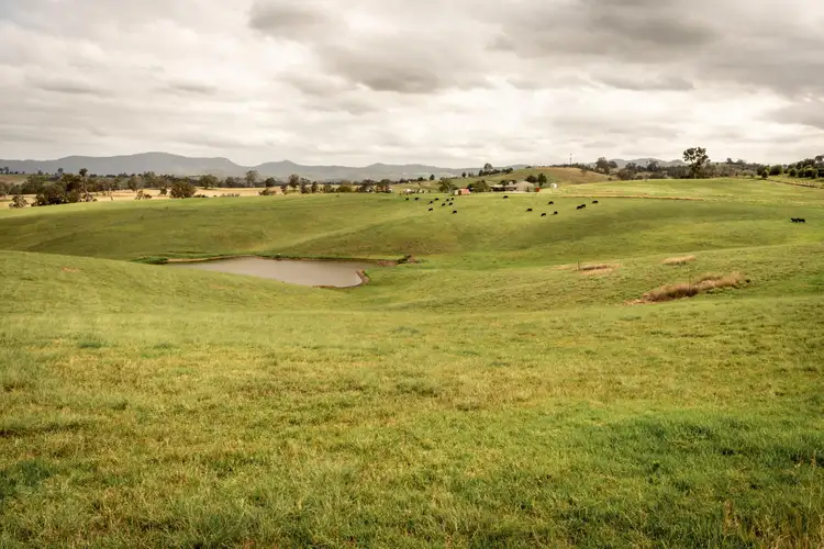 290 Kemps Lane, Candelo NSW 2550