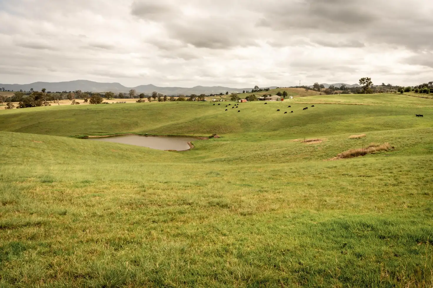 Main view of Homely rural property listing, 290 Kemps Lane, Candelo NSW 2550