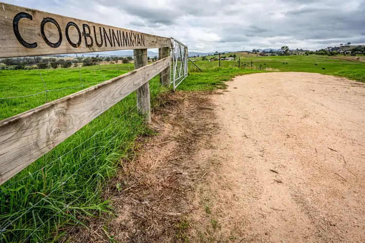 Third view of Homely rural property listing, 290 Kemps Lane, Candelo NSW 2550