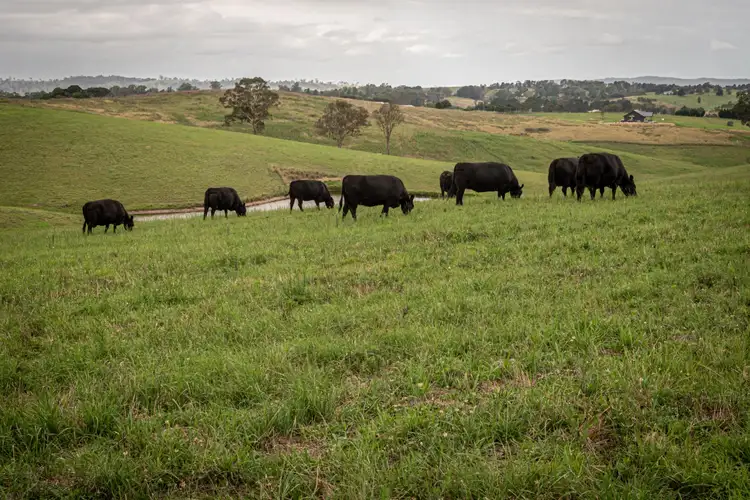 Fourth view of Homely rural property listing, 290 Kemps Lane, Candelo NSW 2550