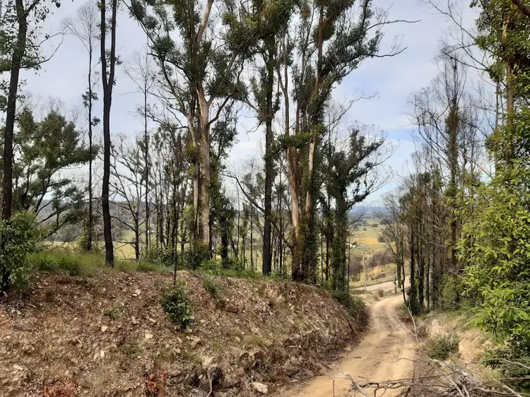 323 Williams Hill Road, Yarranbella NSW 2447