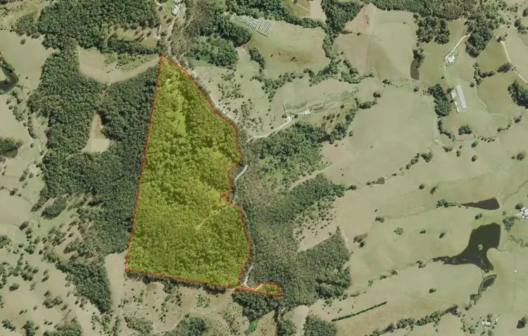 Fifth view of Homely land listing, 323 Williams Hill Road, Yarranbella NSW 2447
