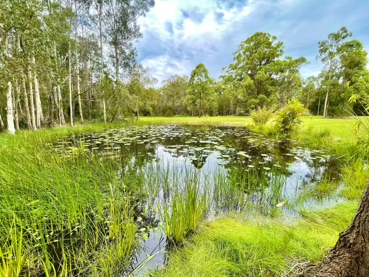 Seventh view of Homely rural property listing, 151 Manning Point Road, Old Bar NSW 2430