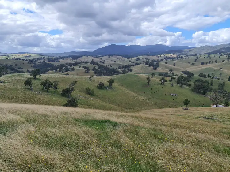 Main view of Homely land listing, 864 Reedy Flat, Ensay VIC 3895