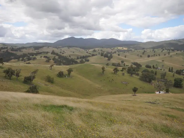 Fifth view of Homely land listing, 864 Reedy Flat, Ensay VIC 3895