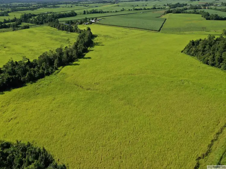 Sixth view of Homely land listing, L107 Old Tully Road, Djarawong QLD 4854