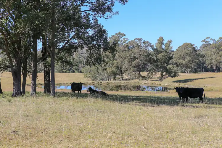 Sixth view of Homely land listing, Lot 19/Lot 16 Hanleys Creek Road, Dungog NSW 2420