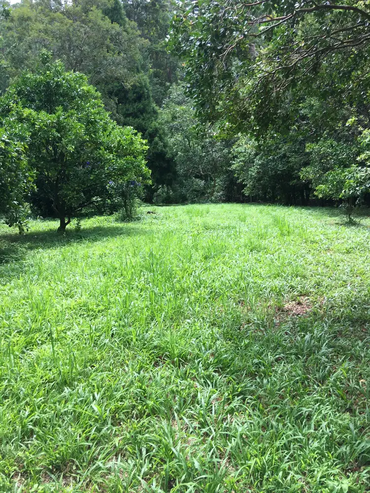Fourth view of Homely land listing, 214 Korora Basin Road (Lot 4 DP752834), Korora NSW 2450