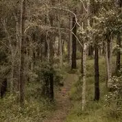 Fourth view of Homely land listing, 162 Bald Hill Road, Macksville NSW 2447