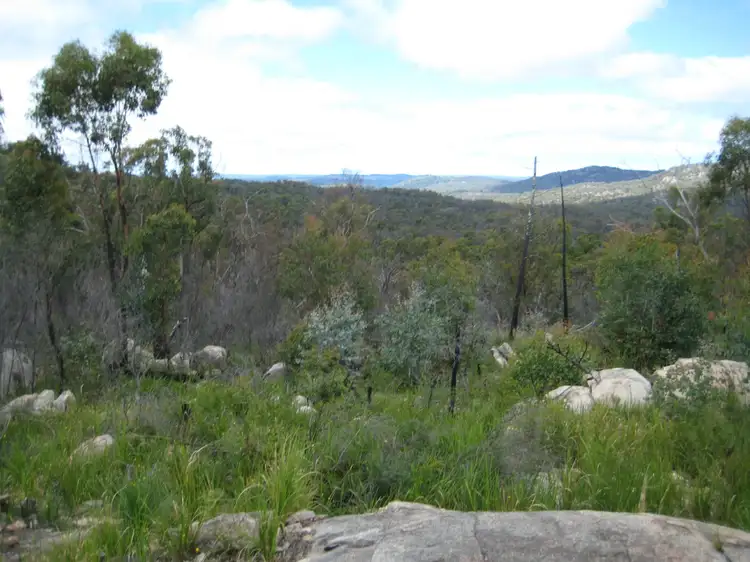 2275 Torrington Road, Torrington NSW 2371