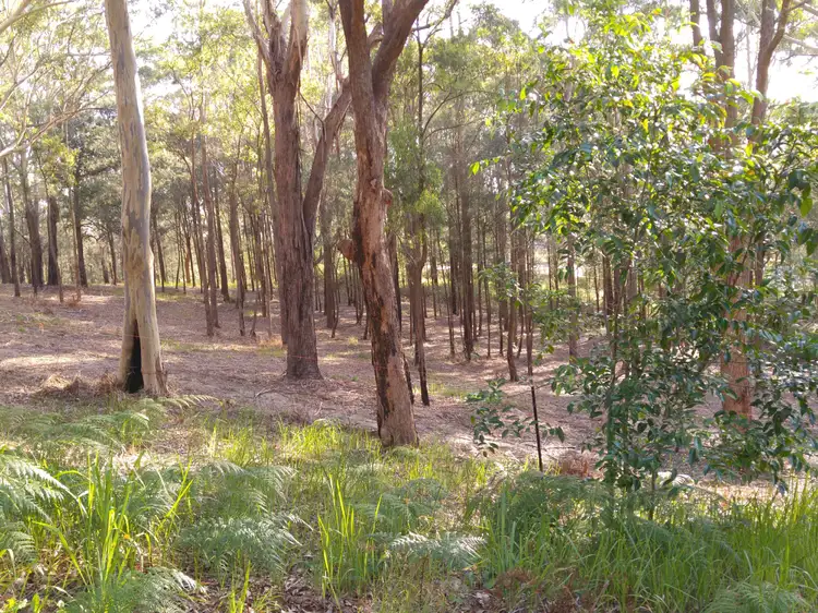 Second view of Homely land listing, 44 Marana Road, Springfield NSW 2250
