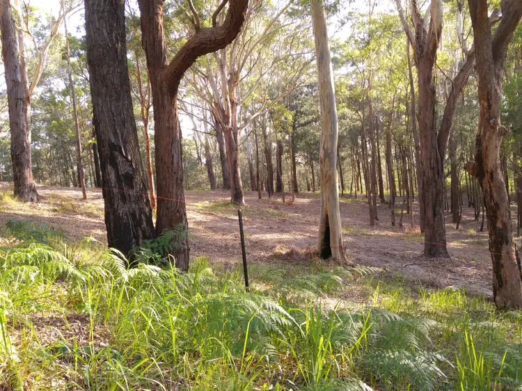 Third view of Homely land listing, 44 Marana Road, Springfield NSW 2250