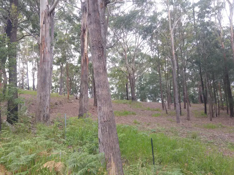 Sixth view of Homely land listing, 44 Marana Road, Springfield NSW 2250