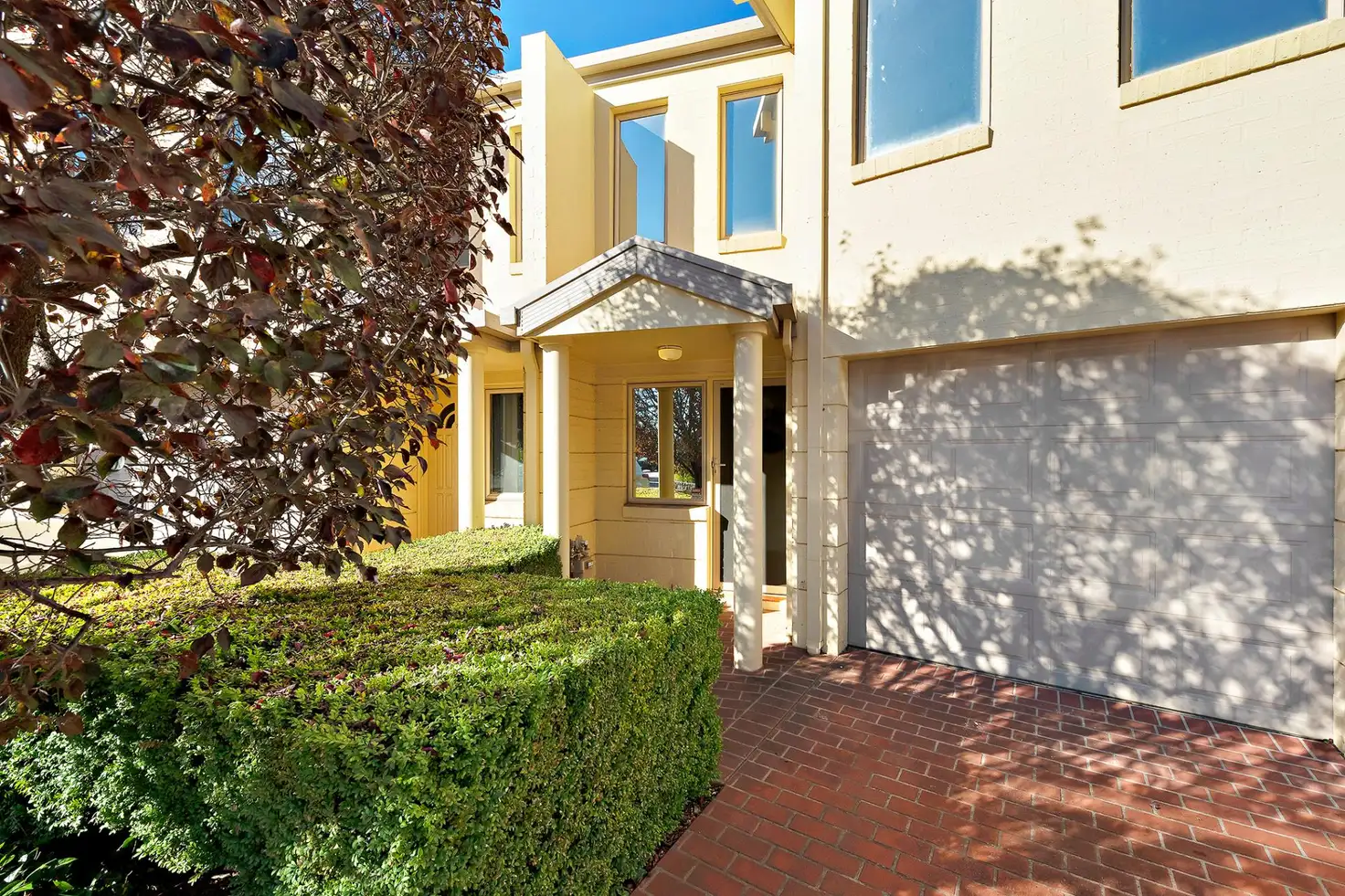Main view of Homely townhouse listing, 8/50 Lampard Circuit, Bruce ACT 2617