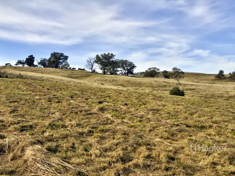 Third view of Homely land listing, 209 Day Avenue, Omeo VIC 3898